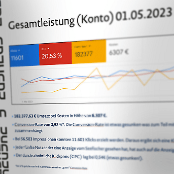 Ein Bericht über die Gesamtleistung mit CTR und Umsatzdaten.